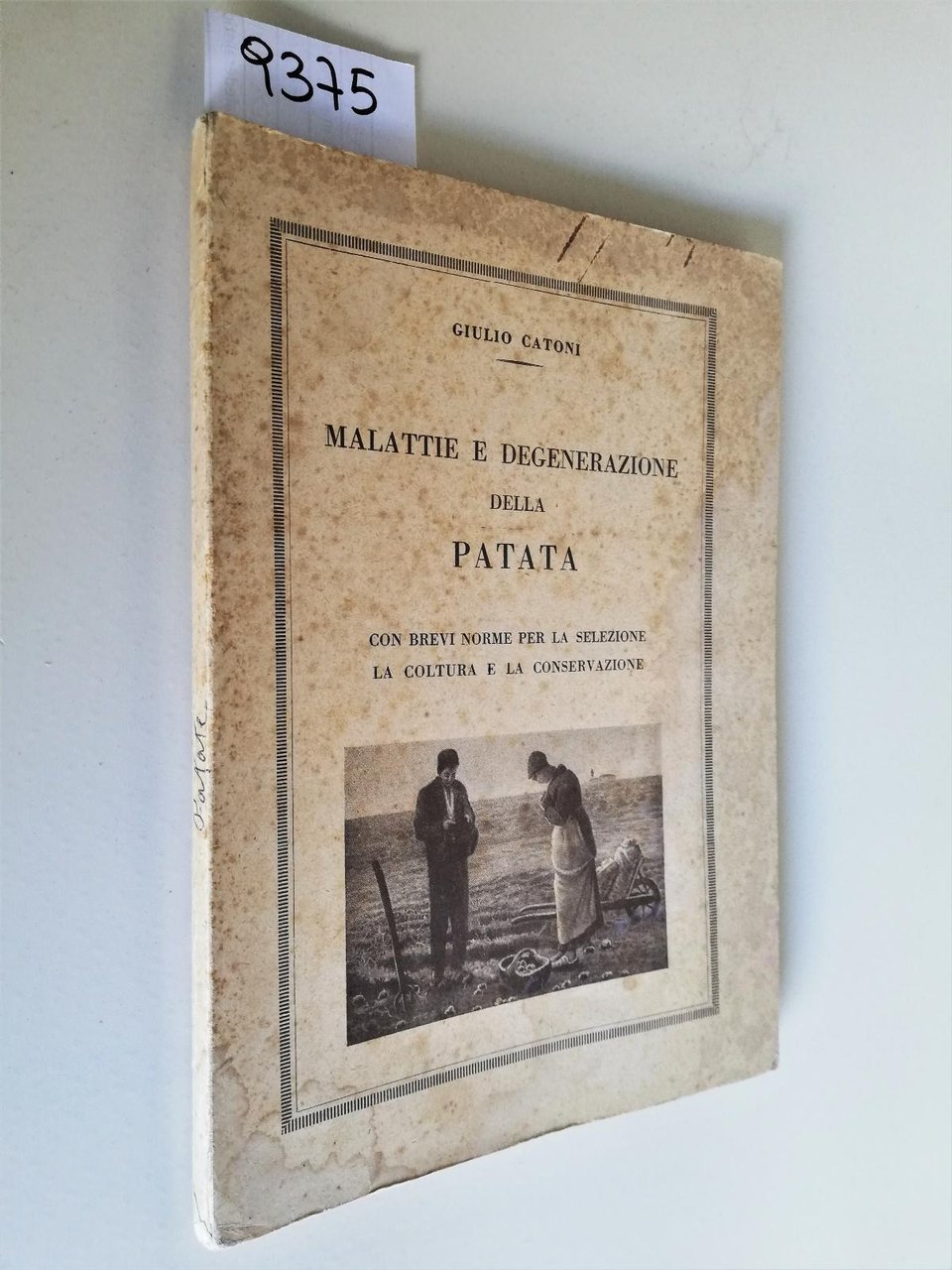 Giulio Catoni Malattie e Degenerazione della patata 1935 Arti Grafiche …