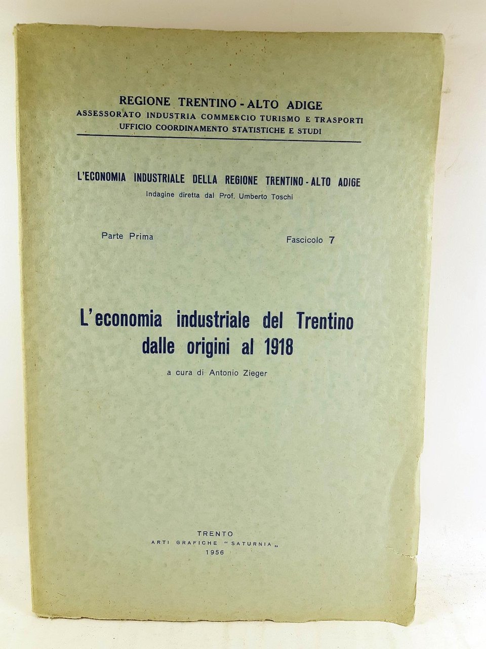 A. Zieger L'economia industriale del Trentino dalle origini al 1918 …