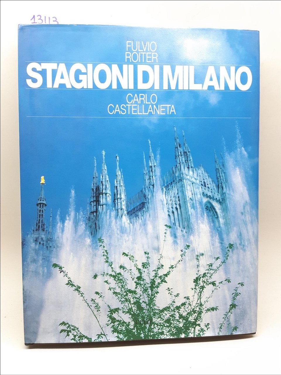 Fulvio Roiter Carlo Castellaneta Stagioni di Milano Celip 1995