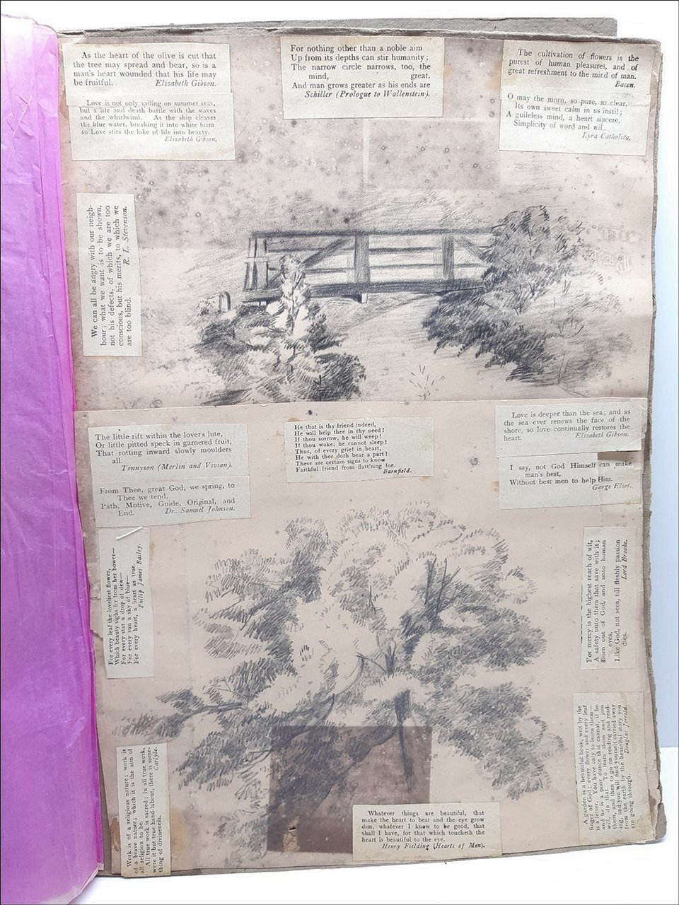 Havell William Album Disegni-Drawings-Originali-40 Cartoline-1820 C.A.