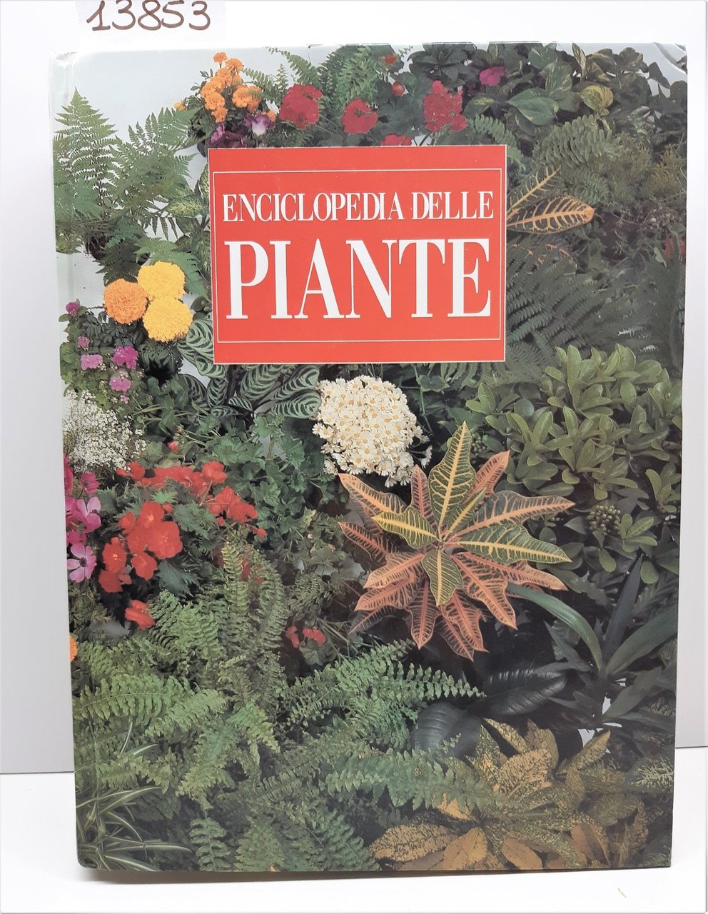 Enciclopedia delle piante 1994 Fabbri 1∞ edizione