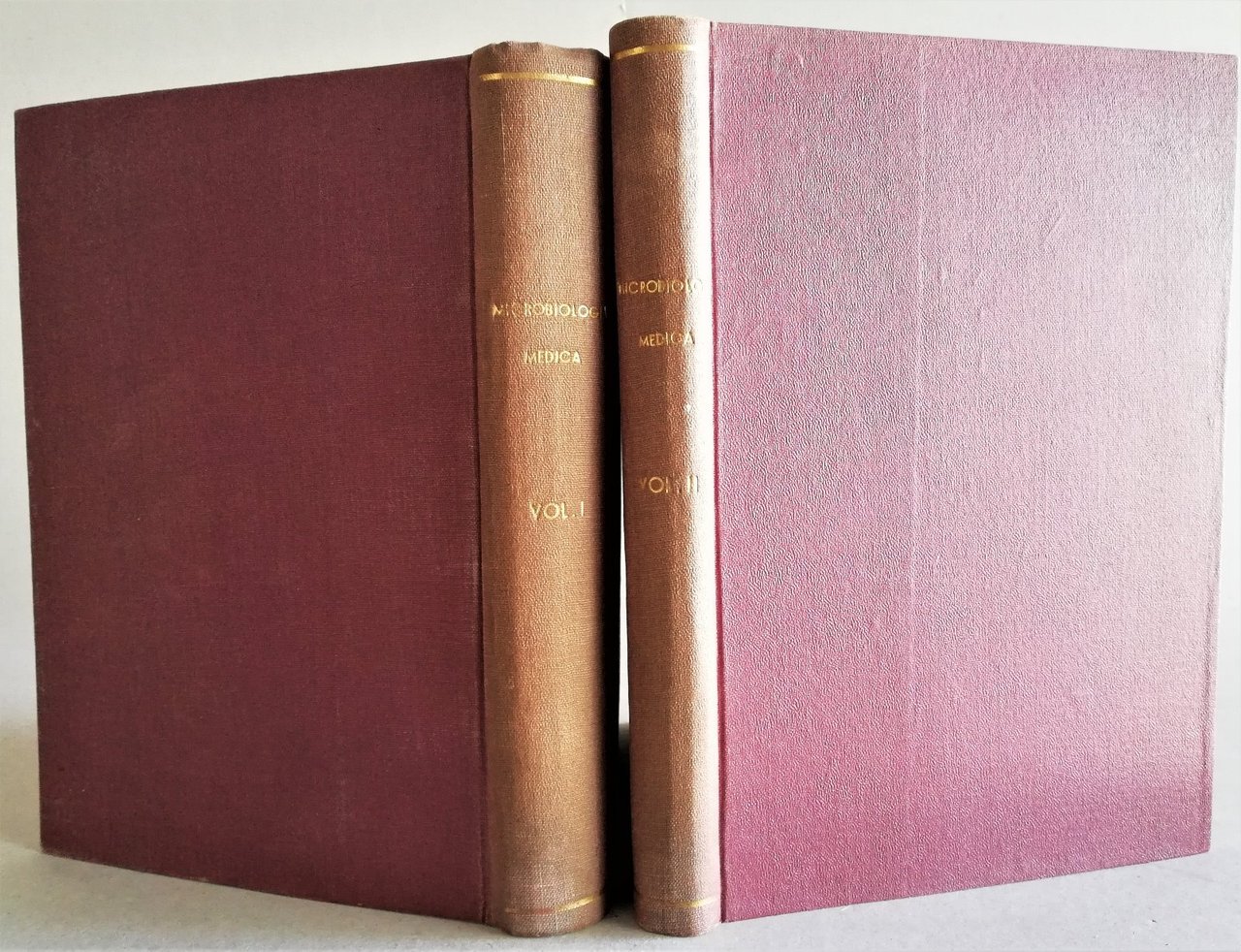 Vittorio Puntoni Manuale di microbiologia Medica 3∞ ed. 1943 Bucciarelli …