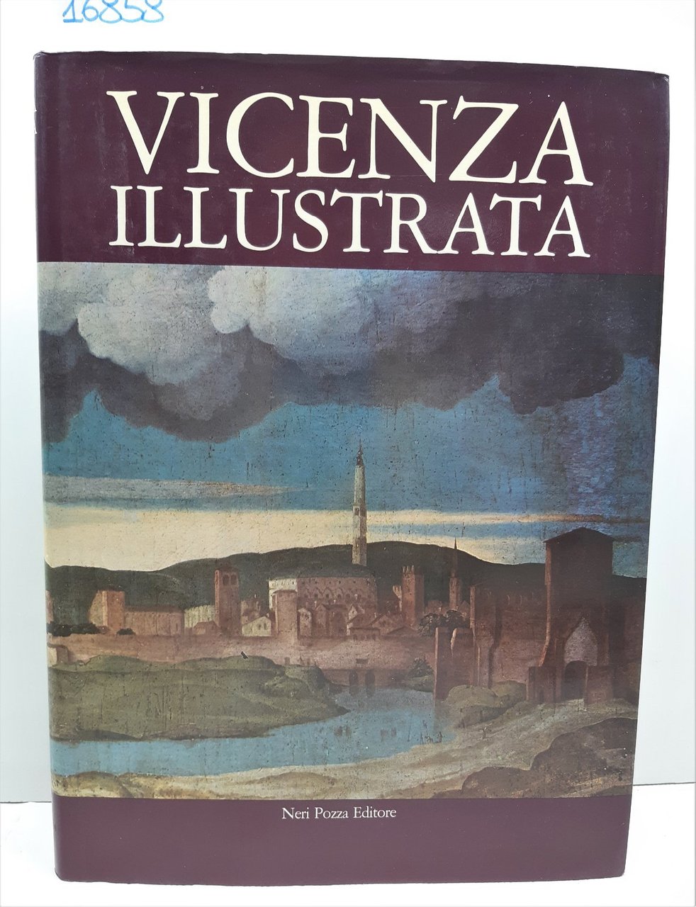 Vicenza illustrata Neri Pozza 1979
