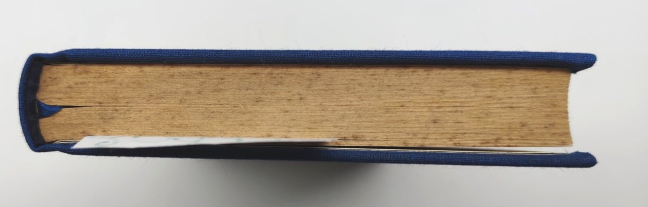 I grandi classici della poesia Dante Alighieri Rime Fabbri editore …