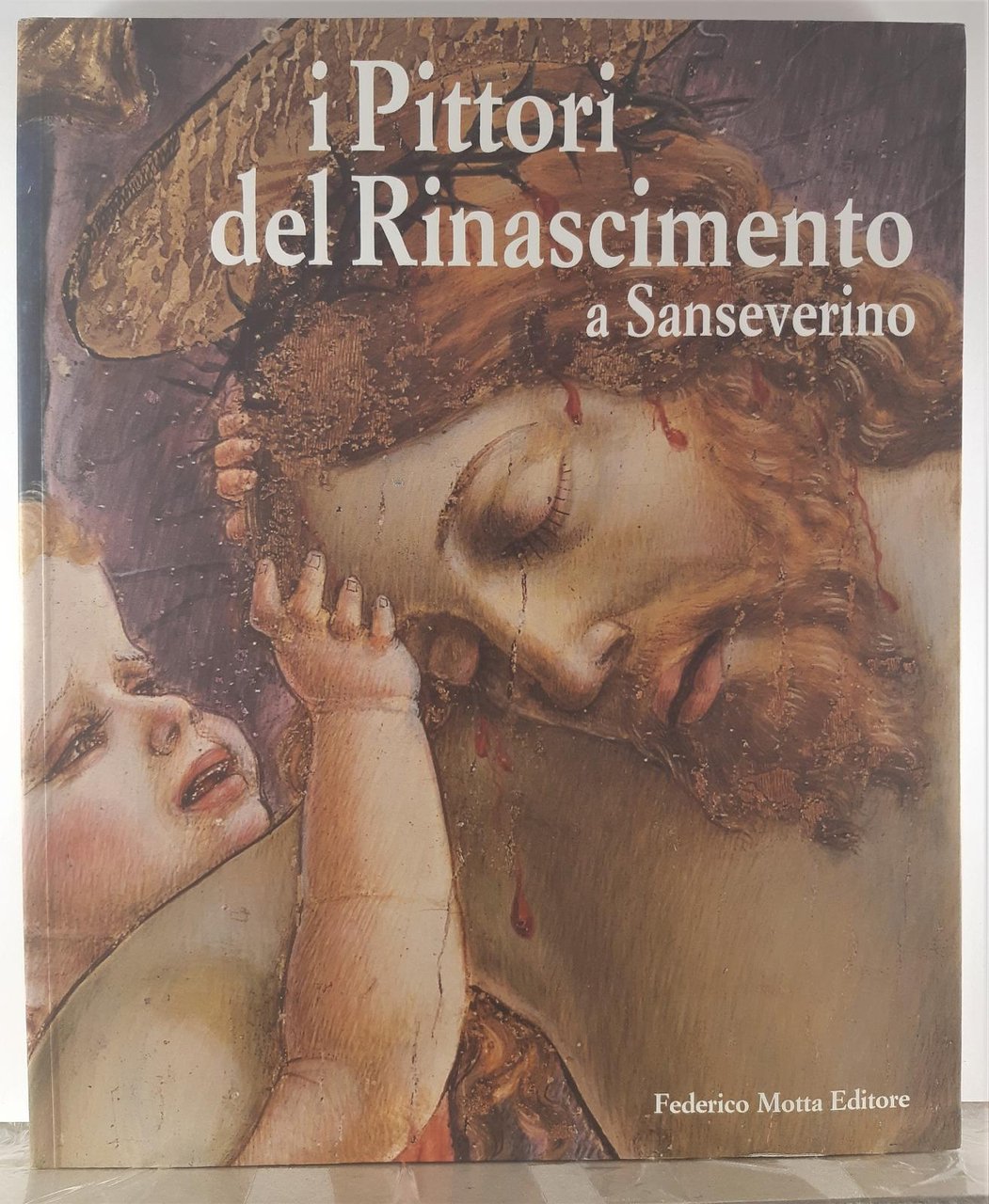 I pittori del rinascimento a San Severino Motta editore 2001