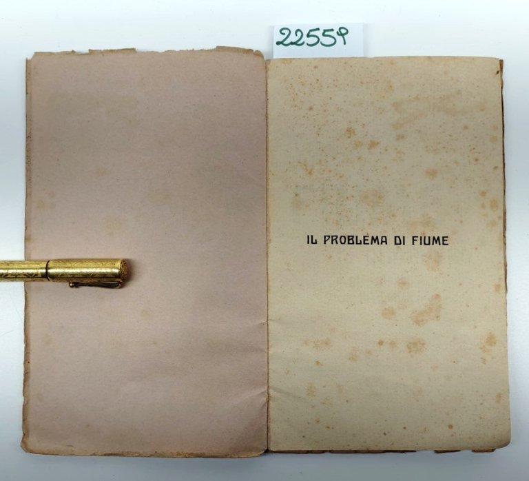 Icilio Baccich Fiume il Quarnero e gli interessi d'Italia ne …