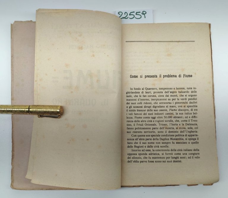 Icilio Baccich Fiume il Quarnero e gli interessi d'Italia ne …