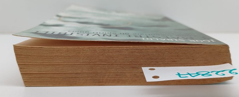 Igor Sibaldi I maestri invisibili come incontrare gli spiriti guida … | Immagine Gallery 4