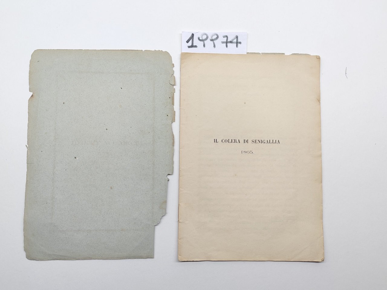 Il colera di Senigallia 1865