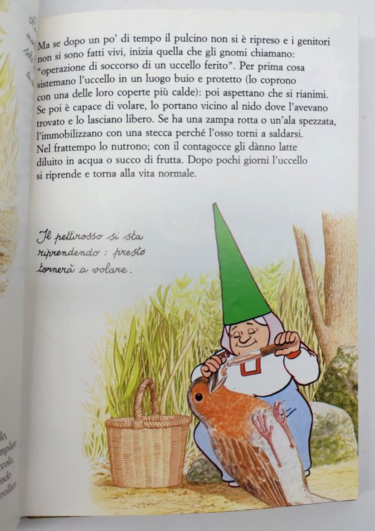 Il libro segreto degli gnomi numero 24 De Agostini 1987