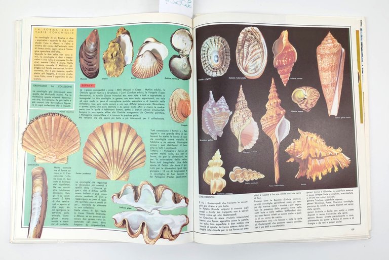 Il regno animale Fabbri Ristampa 1987