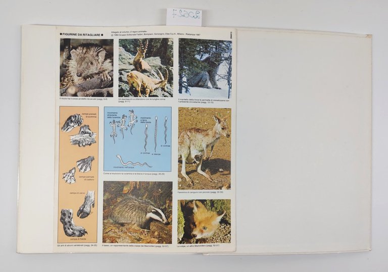 Il regno animale Fabbri Ristampa 1987