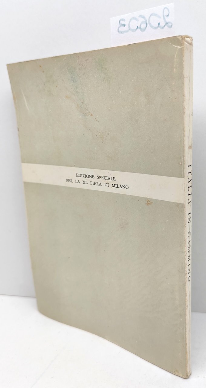 Istituto centrale di statistica Italia In cammino 1962 Roma