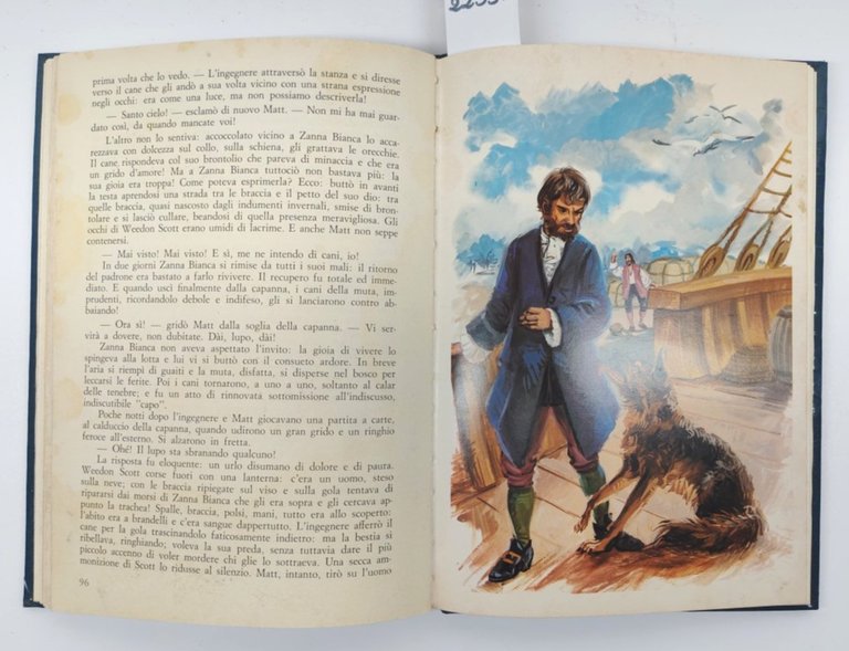 Jack London Zanna Bianca Edizioni Arcobaleno 1982