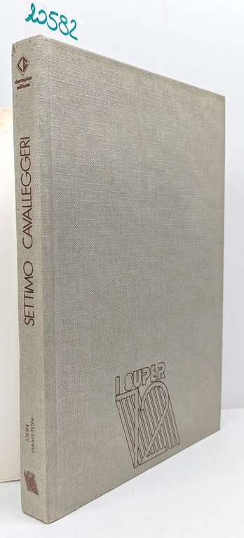 John Hamilton Settimo Cavalleggeri Ciarrapico 1981