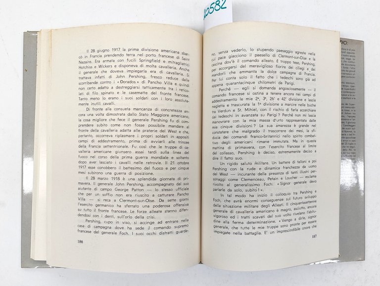 John Hamilton Settimo Cavalleggeri Ciarrapico 1981