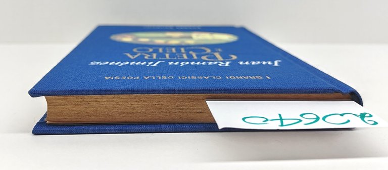 Juan Ramon Jimenez Pietra e cielo Fabbri editore 1997