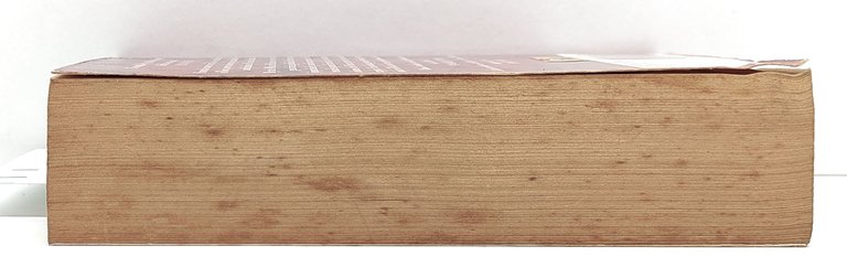 Ken Follett A Dangerous fortune Pan books 1993 1° edizione