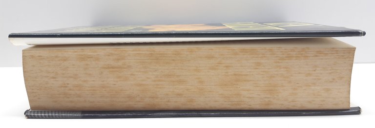 Ken Follett Una fortuna pericolosa Mondadori 2° edizione 1993