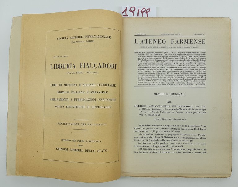 L'ateneo Parmense n. 3 maggio giugno 1936 Università di Parma