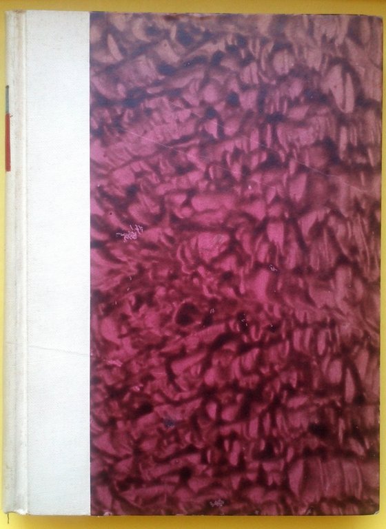 L. Callari Le Ville Di Roma Seconda Edizione Roma G. … | Immagine Gallery 4
