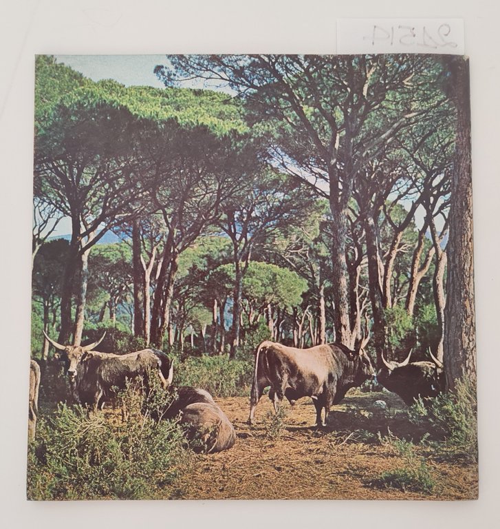 La provincia di Grosseto La Maremma Toscana ente provinciale del …