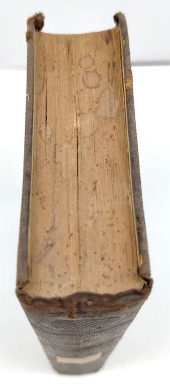 La sacra Bibbia ossia L'Antico e il Nuovo testamento Depositi …