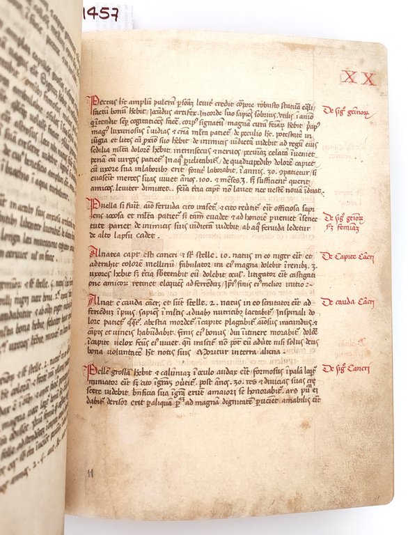 Liber Physiognomiae Lat.697 =a W. 8.20 Biblioteca Estense Il Bulino … | Immagine Gallery 10