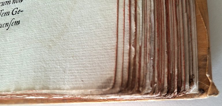 Libro antico Cinquecentina Historiae Genuensium Libri XII Storia di Genova …