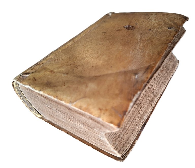 Libro antico Seicentina Collectanea, seu reportata iuris civilis Bernardinus Alphani …