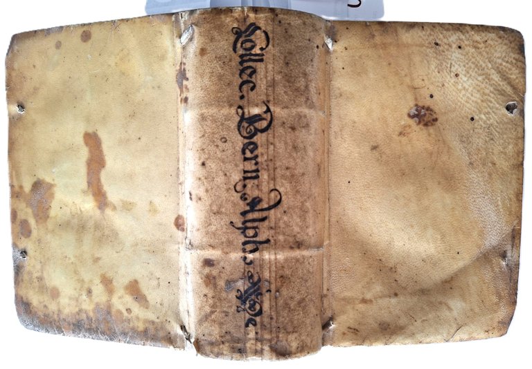 Libro antico Seicentina Collectanea, seu reportata iuris civilis Bernardinus Alphani …