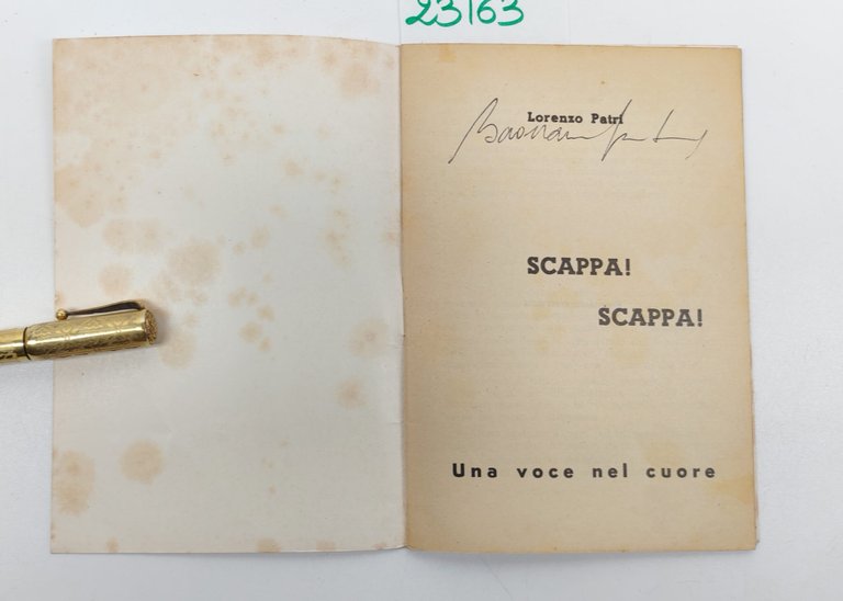 Lorenzo Patri Scappa scappa l'assurda avventura di un uomo e … | Immagine Gallery 3