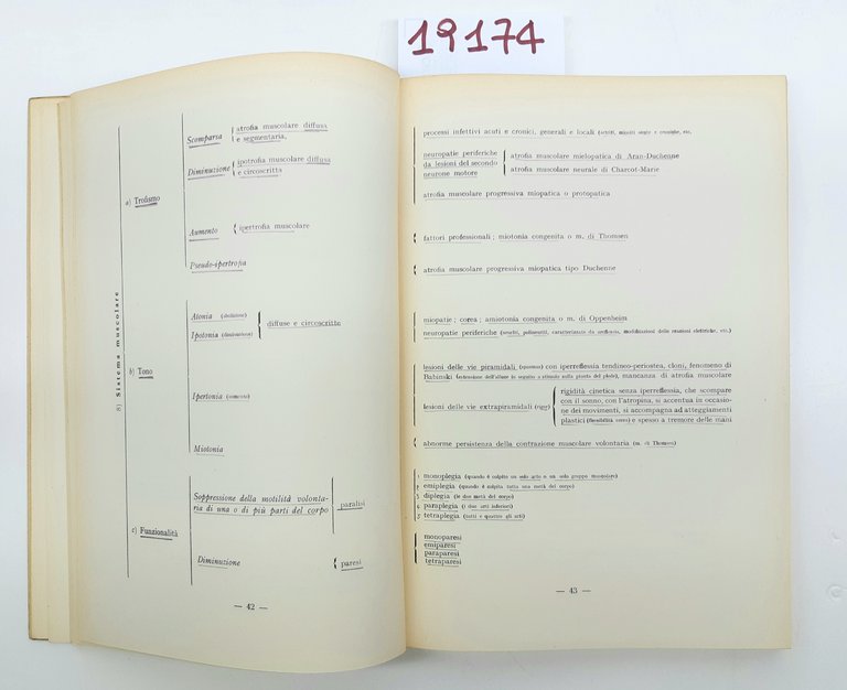 Lucherini Natale Prospetti di semeiotica medica 2° edizione SEU 1955