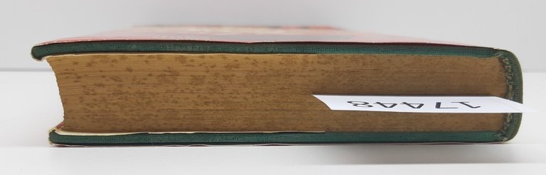 Luigi Cavicchioli I voli del tacchino romanzo Rizzoli 1° edizione … | Immagine Gallery 4