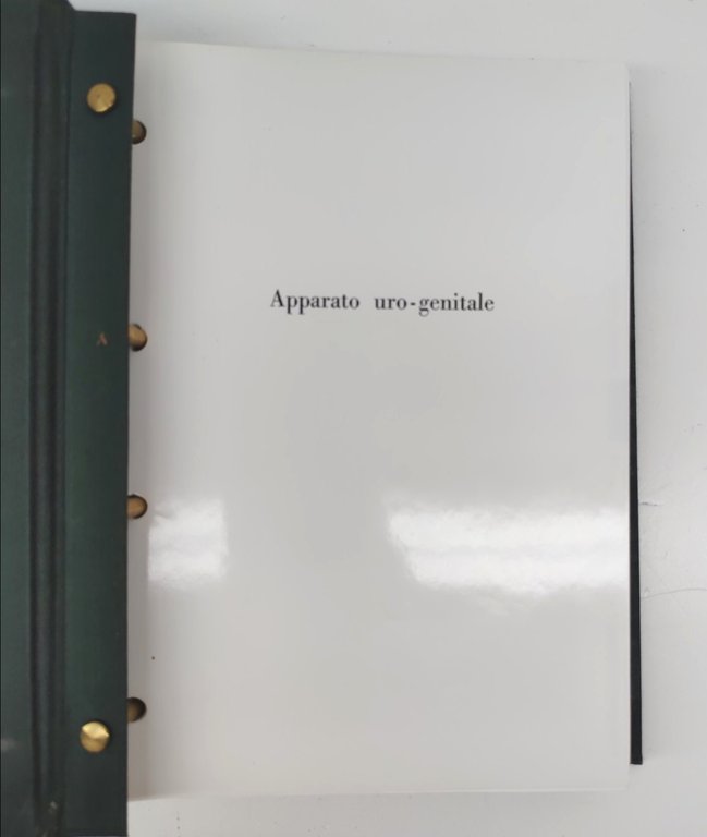 Luigi Russo Schedario di chirurgia 4 volumi 1964 copia numero …