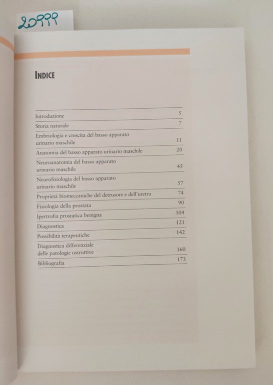 Mandressi Zaroli La minzione nell'uomo Pragma 1992