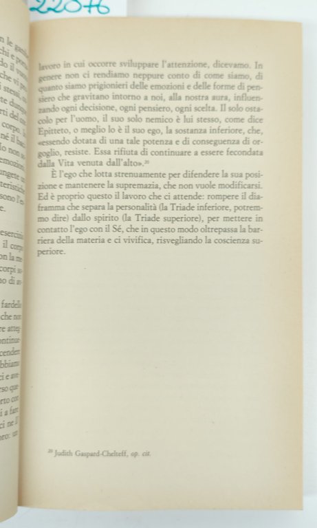 Manuela Pompas Reincarnazione alla scoperta delle vite passate Rizzoli 1° … | Immagine Gallery 3