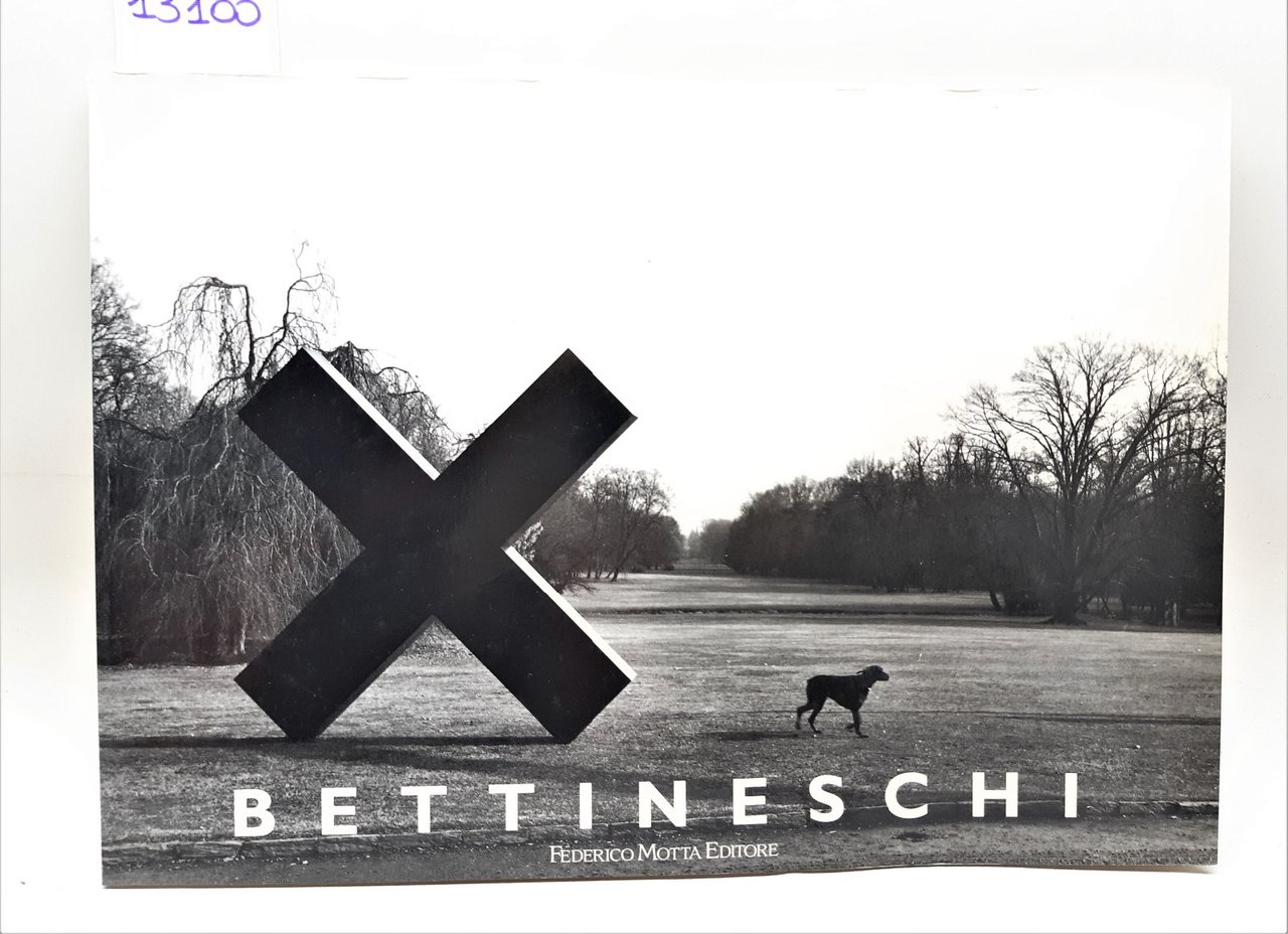 Mariella Bettineschi Paesaggi in nero Federico Motta editore 1992