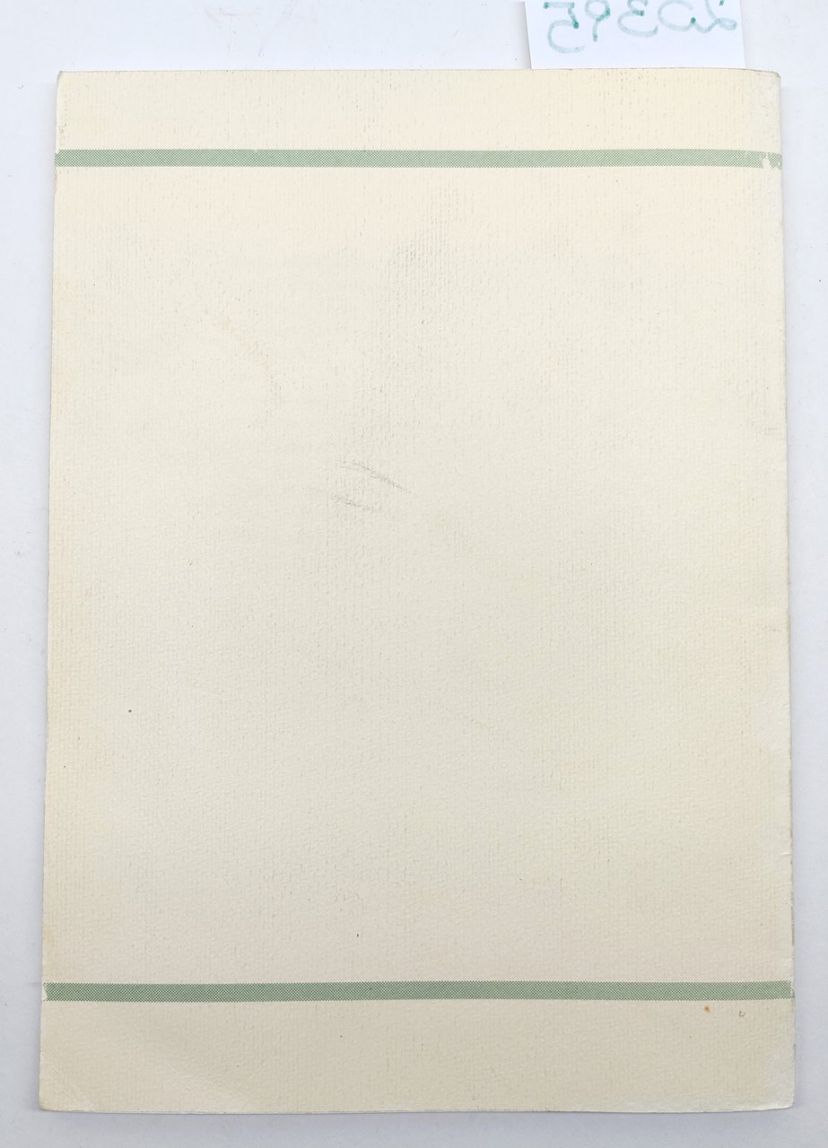 Marina Andrey Le ricette della nonna erbe e fiori delle …