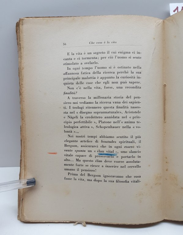 Mario Musella Frammenti di Scienza Napoli Idelson 1927 | Immagine Gallery 7