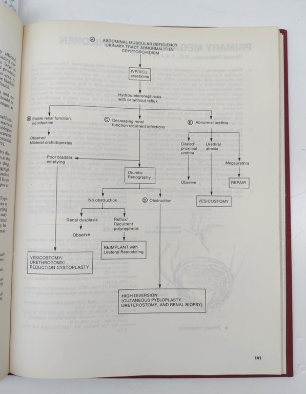 Martin I. Resnick Decision making in urology 1985