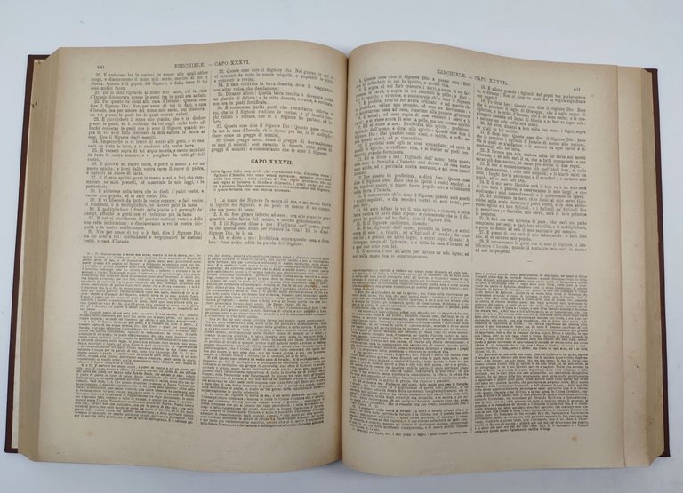 Martini Antonio La Bibbia vecchio e Nuovo Testamento secondo la …
