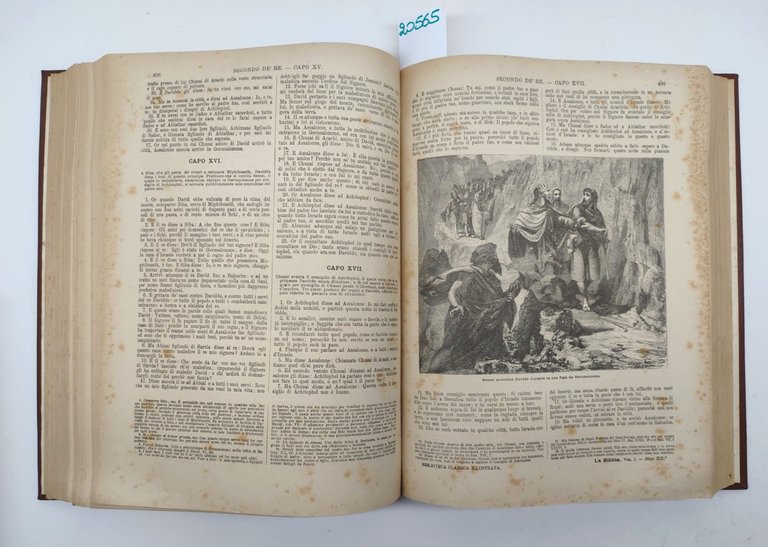 Martini Antonio La Bibbia vecchio e Nuovo Testamento secondo la …