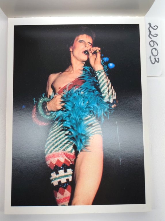 Max Fotobook David Bowie 1990