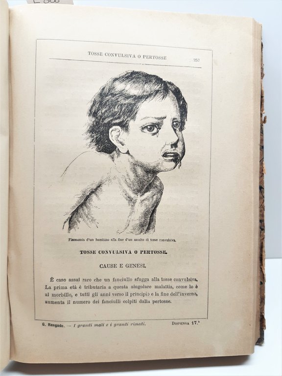 Medicina Rengade I grandi Mali e i grandi rimedi. Sonzogno …