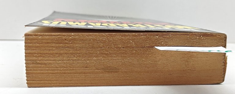 Mirella Corvaja Le profezie di Nostradamus cosa ci riserba il …