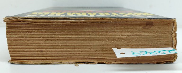 Mirella Corvaja Le profezie di Nostradamus cosa ci riserva il … | Immagine Gallery 6