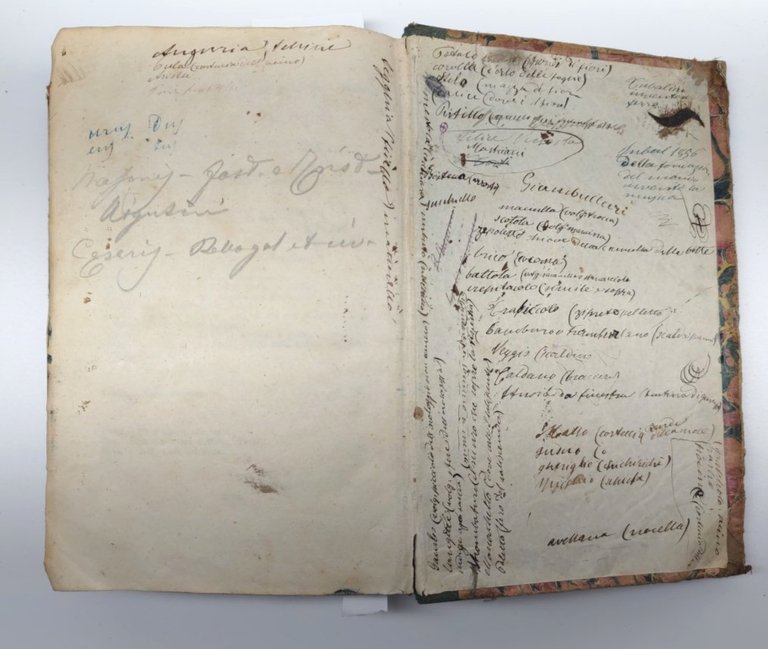 Miscellania Ovidio Fasti Tristezze e Cesare Guerra Gallica Civili Napoli …