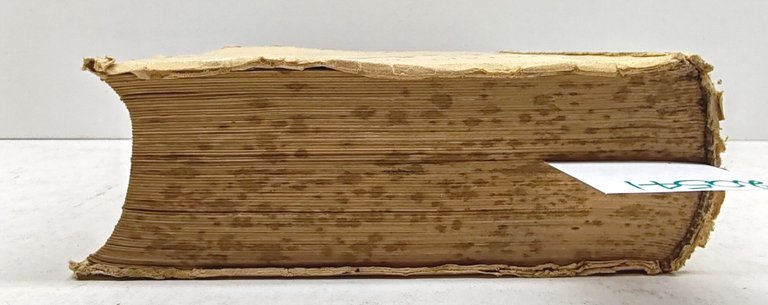 Natale Bertocco L'ABC dello sport la società sportiva CSI 1953-1954