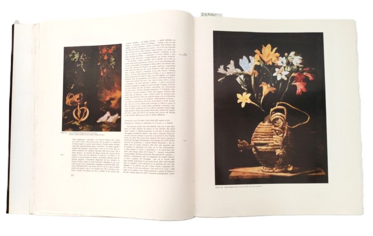 Natura in posa La grande stagione della natura morta europea …